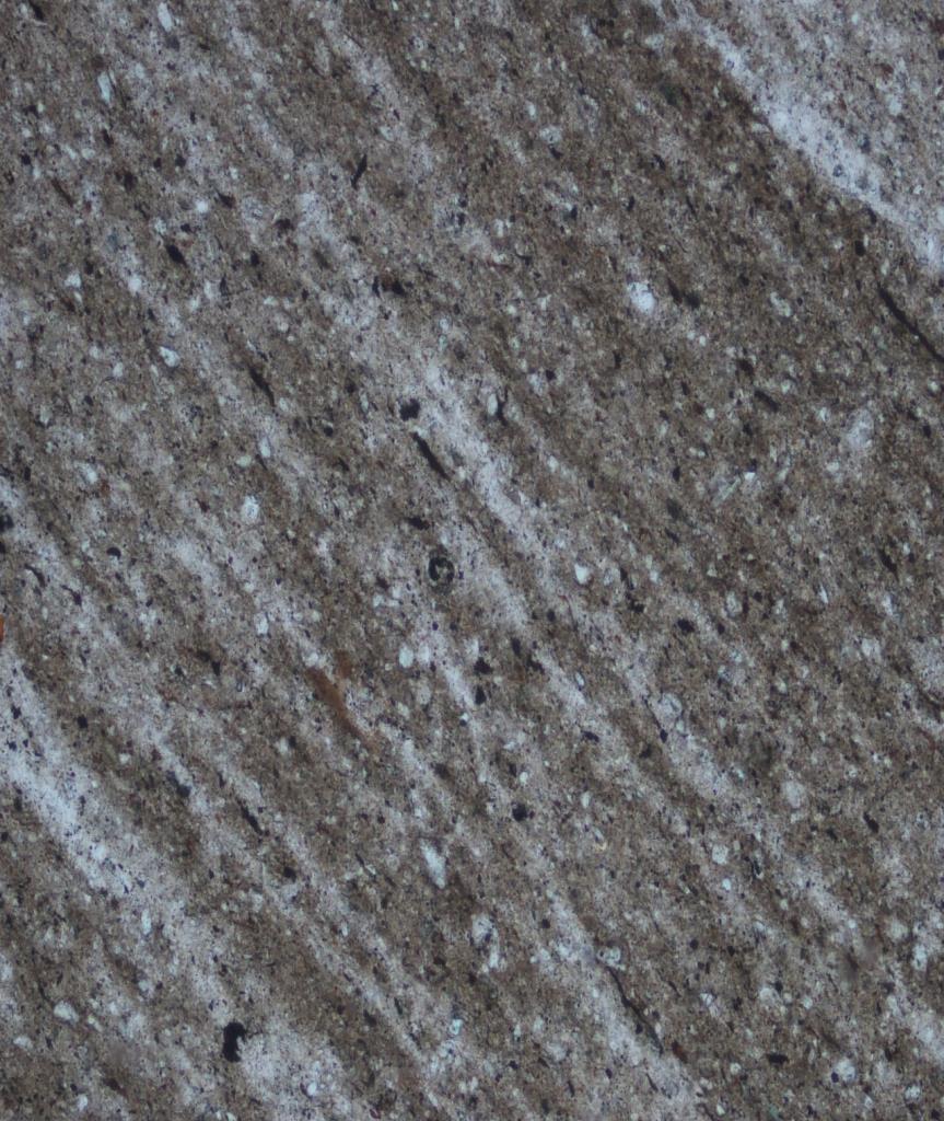 Feldspar grain Feldspar grain Recrystallized and orientation of clay materials Muscovite grains Recrystallized and