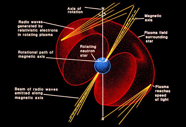 One idea is that the synchrotron emission is radiated as twin beams from the magnetic poles.