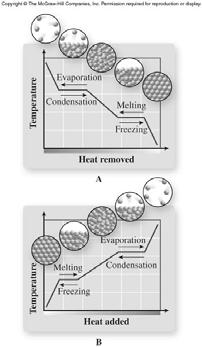 Heating Curve Heat is added to cause phase changes. Figure 10.13 Figure 10.14 13 14 Melt CO 2 Cooling Curve 10.