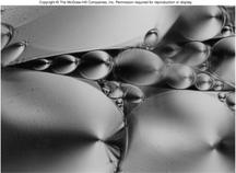 16 Liquid Crystals Long, very large molecules can be held together by London forces Figure 10.