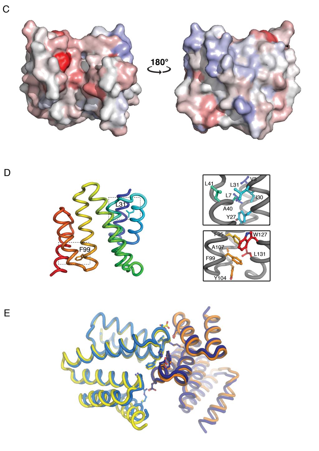 (A) RMSD fit for Ca atoms of the Sgt1TPR domain and TPR domains with high sequence identity.