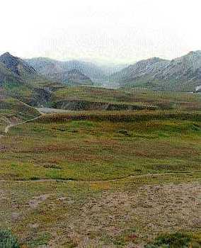 Tundra The Land of the Midnight Sun Winter lasts 6 to 9 months with