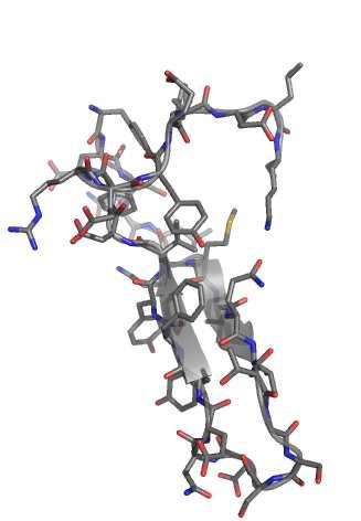demonstrated the inhibition of the soluble catalytic domain of Kit mediated by this peptide The outcomes of this study depict the JM of Kit as a stand-alone domain with proper folding and full