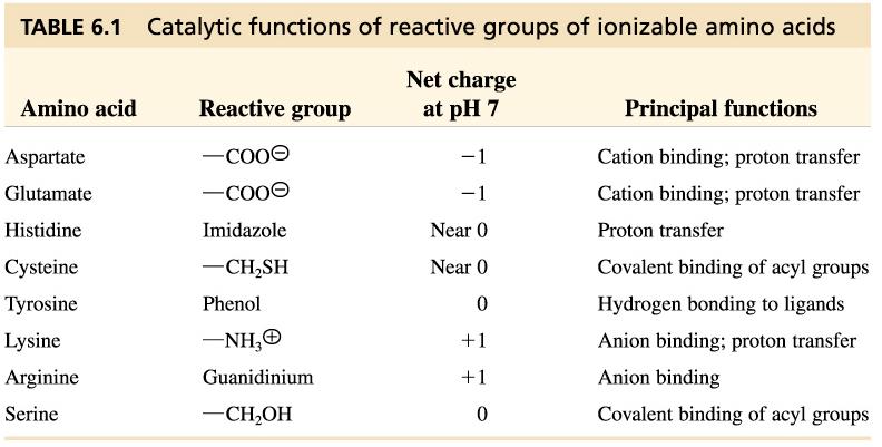 Note: pka of ionizable groups of amino acids in proteins vary from pka of free amino acids (compare Table 3.2 to Table 6.