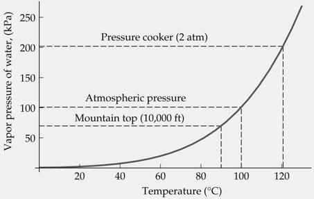 The pressure of the gas when it is in equilibrium with the liquid is called the equilibrium vapor pressure, and will depend on the temperature.