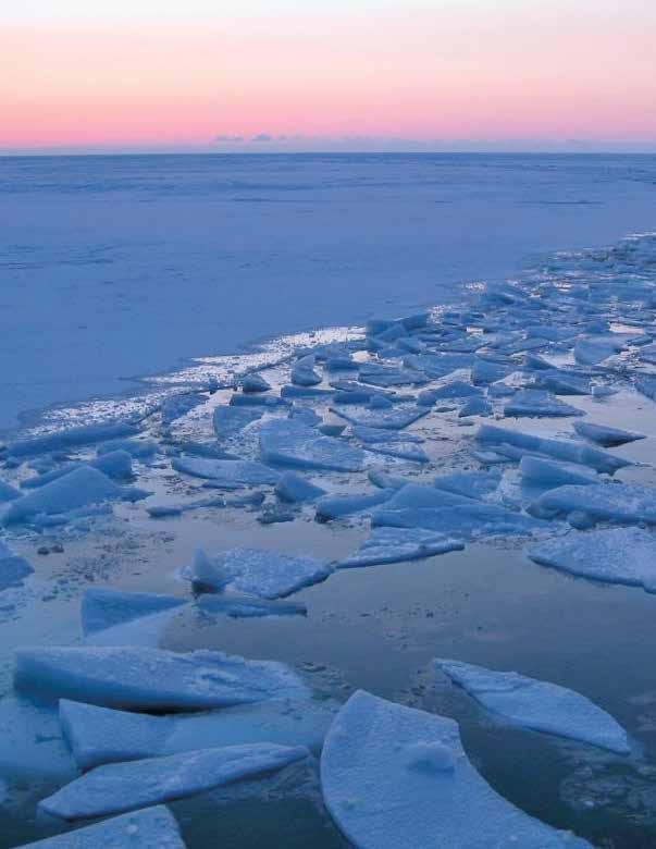 Arctic Ocean Observing Build Out Plan March 1,