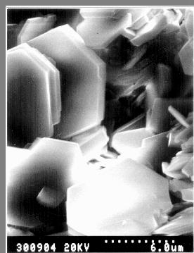 Electron micrograph of Kaolinite crystals.