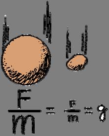 F stands for the force (weight) acting on the cannonball, and m stands for the correspondingly large mass of the cannonball. The small F and m stand for the weight and mass of the stone.