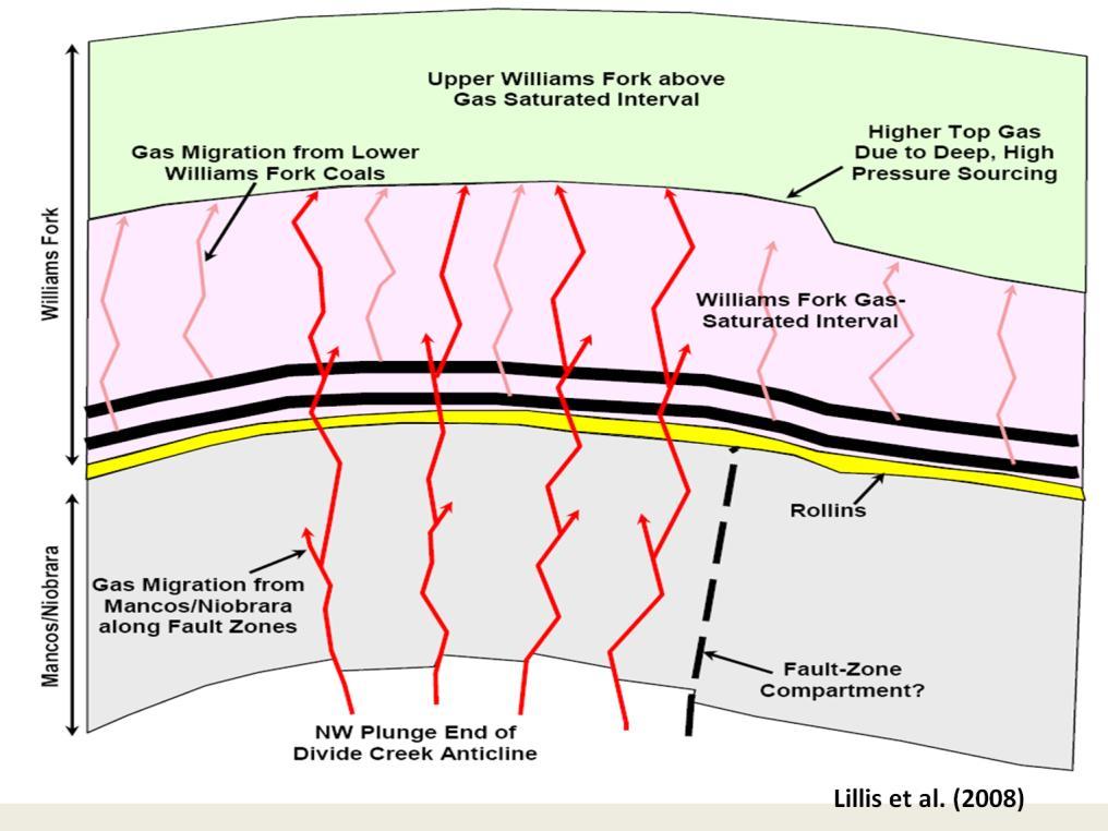 Presenter s notes: Geologic section to explain different gases produced from the Williams Fork in Mamm Creek Field.