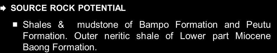 PETROLEUM SYSTEM SOURCE ROCK POTENTIAL Shales & mudstone of Bampo Formation and Peutu Formation.