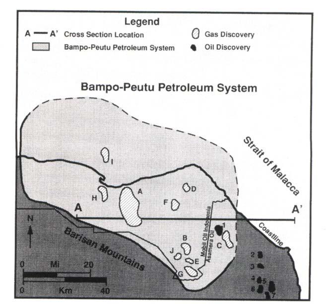 PETROLEUM SYSTEM HYDROCARBON PLAYS Early Miocene Belumai