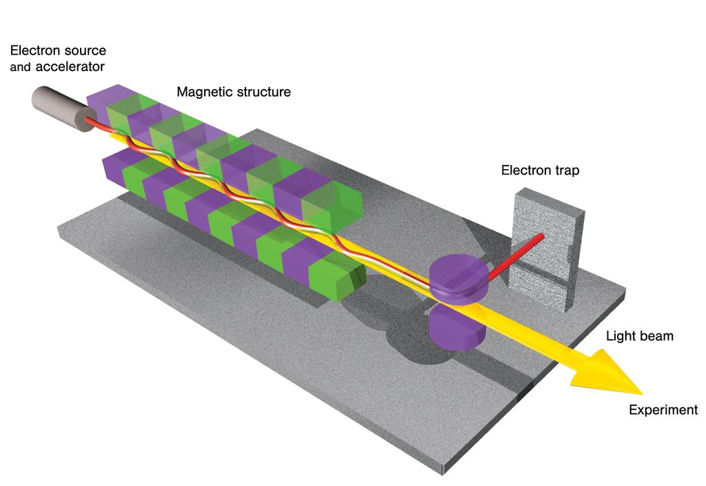 Future X-ray Sources: Free Electron Lasers FEL design: A straight synchrotron Single