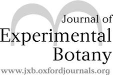 Journal of Experimental Botany, Vol. 61, No. 11, pp. 3003 3013, 2010 doi:10.