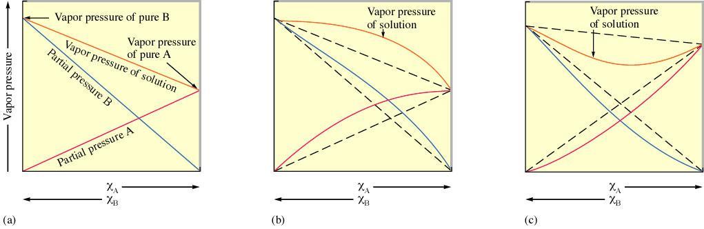 Raoult s Law: P A = X A P o A Where: P A = vapor pressure of the solution X A = mole fraction of the solvent P o A = vapor pressure of the pure solvent (X A = n solvent / n solute + n solvent ) The