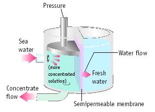 Because pressures are easily and accurately measured, osmotic pressures are often used to determine the M.W.