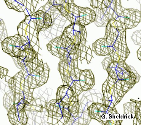 β Strands The other secondary structure element of proteins, β strands are also striking but more