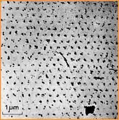 First image of Vortex lattice, 1967 Bitter Decoration Pb-4at%In rod, 1.1K, 195G U. Essmann and H.