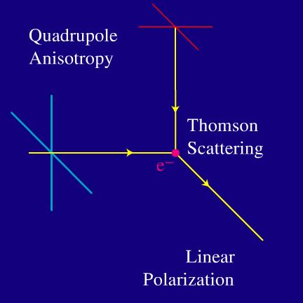 Polarization from Thomson Scattering Quadrupole