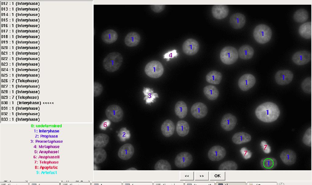 Statistical Clustering of Vesicle Patterns Mirko Birbaumer Rmetrics Workshop 3th July 2008 7 / 23 High-Throughput Screening Cell Classification GUI for cell