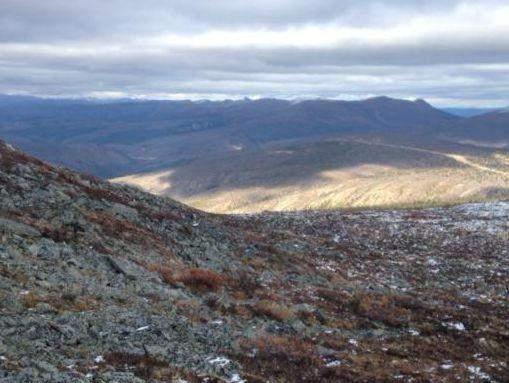 RC Gold Planned 2017 Exploration RC straddles the Big Creek Stock, a Tombstone Suite Intrusion that returned 115 ppb Au from