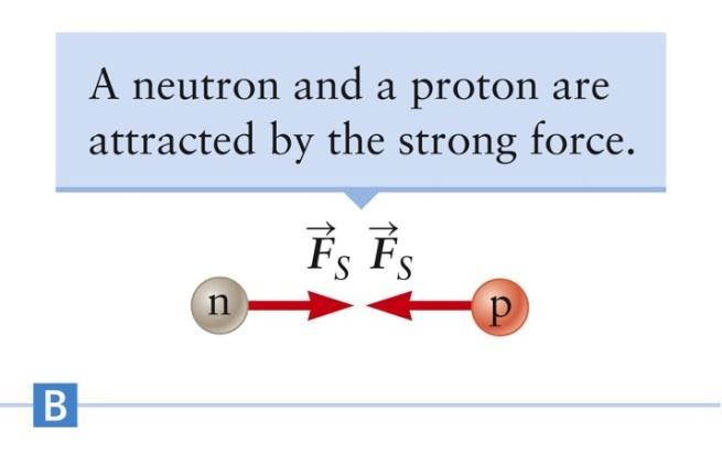 via the strong force If only two protons are