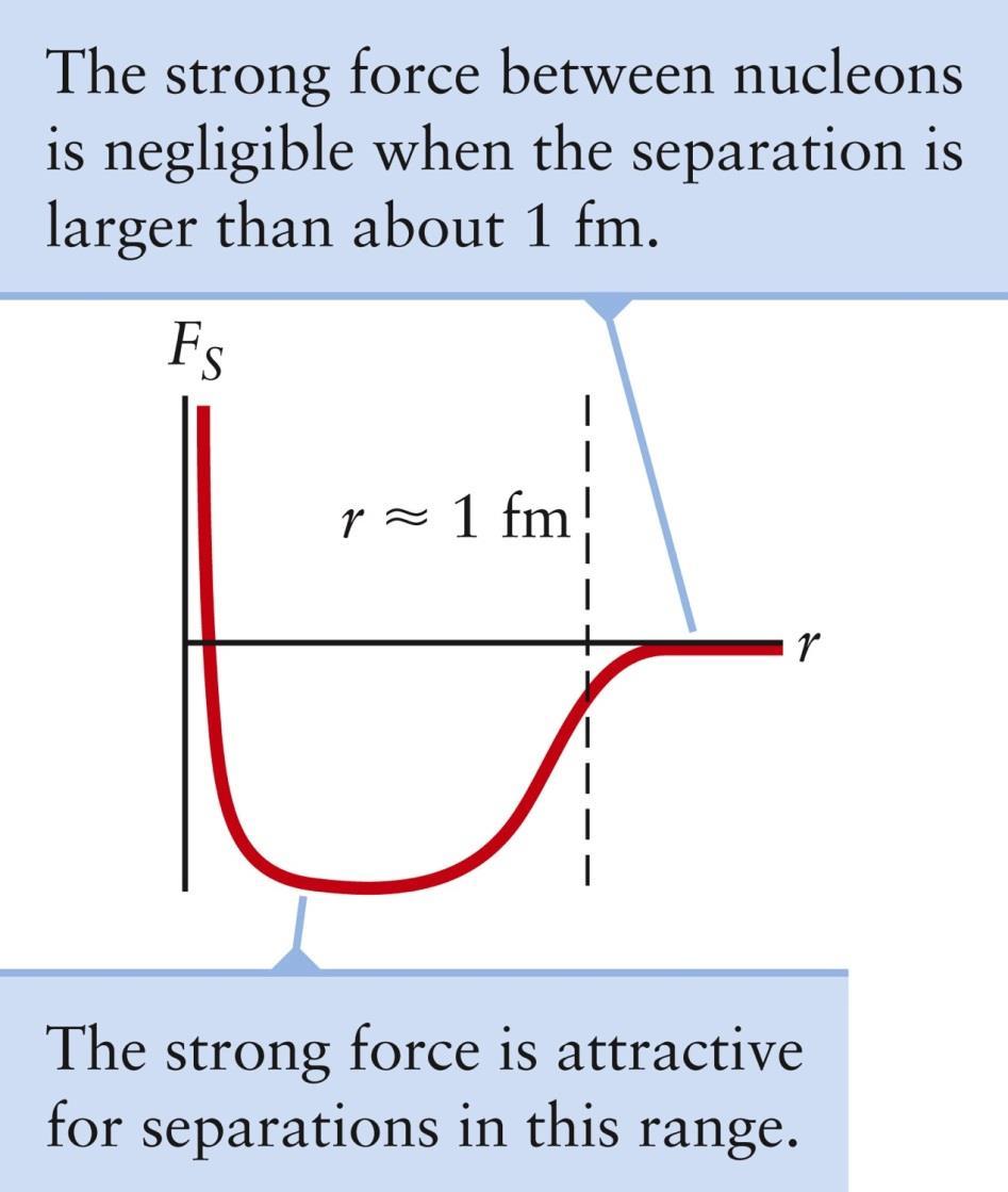 Strong Force and Distance The strong force has an approximately constant magnitude when the nucleons are about 1 fm apart The force is negligible when the