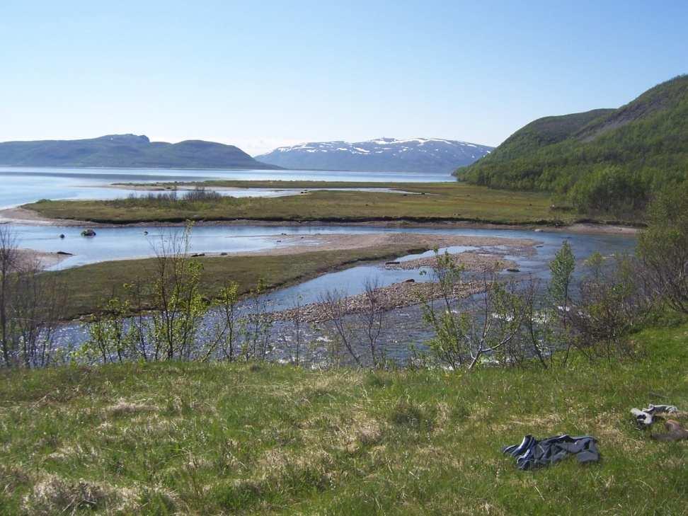 Are prepared for the Tana, the Neiden and the Pasvik Rivers As part of the Pasvik catchments area is