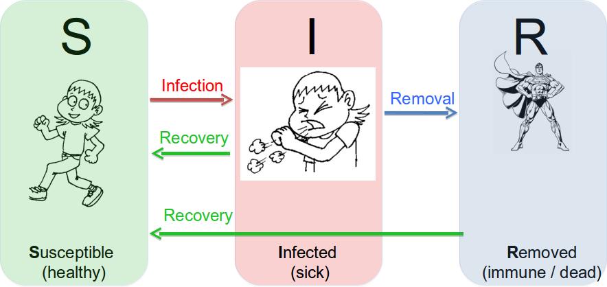 Recovered (R) - individuals who have been infected before, but have recovered from the disease, hence are not infectious homogenous mixing hypothesis assumes that each individual has the same chance