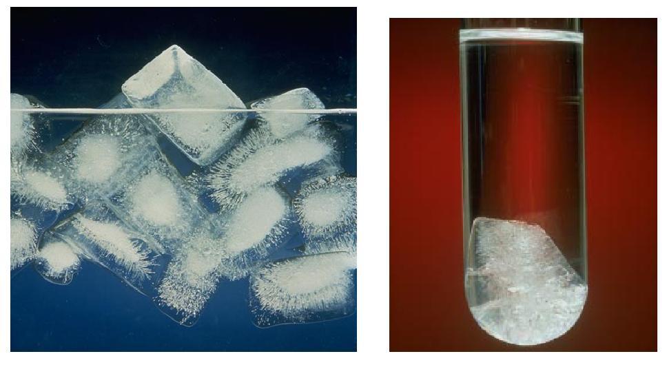 the left is water; water is unusual because the solid is less dense than the liquid.