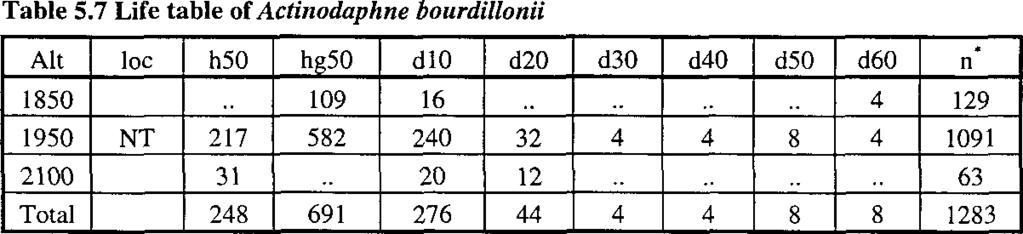 1 Acronychia laurifolia: A low tree often found along forest edges; only in one plot (1950 m > asl) was the species well represented, where plants were found represented in all life stages (Table 5.