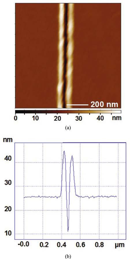 152 4 Nanofabrication by Scanning Probes Fig. 4.17 (a) AFM image of plowed PMMA groove by silicon tip.