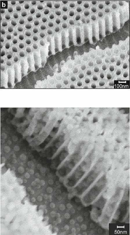 328 8 Nanofabrication by Self-Assembly (a) (b) Fig. 8.21 (a) Cross-section of ordered nanopores in alumina.