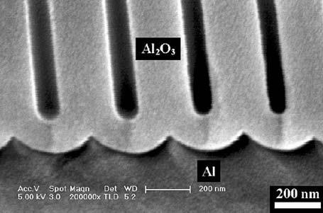 References 329 Fig. 8.22 Cross-section of nanopores in alumina (Reprint from [93] with permission) References 1. Whitesides, G.M., J.P. Mathias, and C.T.
