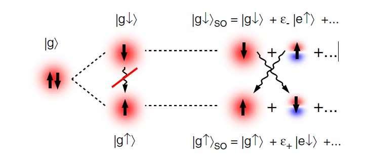 ( 1T = Relaxation for spin qubit (B II At 0.