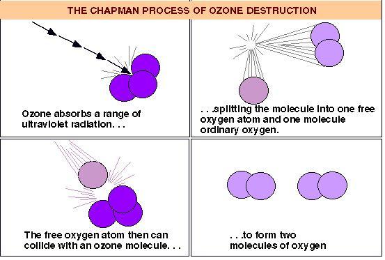 Ozone is created by solar UV and destroyed as well, converting