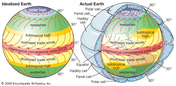 As winds move towards either pole, winds veer to the right relative to the underlying ground, due to the Coriolis Force: The velocity of the ground goes from 25,000