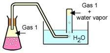 Dalton s Law of Partial Pressures When collecting a gas over water you need to account for the Vapor pressure of water at the collection temperature.