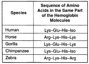 2. Biochemical similarities include comparisons of DNA and the resulting amino acid sequences for certain, shared proteins.