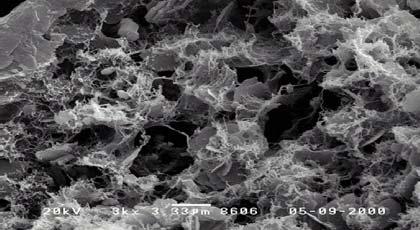 illite (non swelling clays), vermiculite,