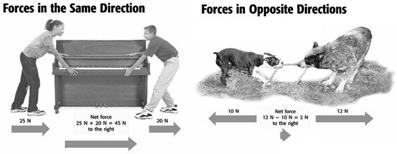 Objectives Forces Describe forces, and explain how forces act on objects. Determine the net force when more than one force is acting on an object. Compare balanced and unbalanced forces.