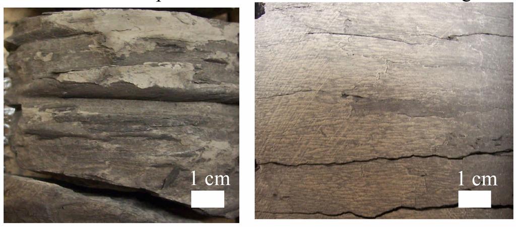 Figure 2. Left, black shale. Well: 11-35-44-6W4 @ 590.85m.