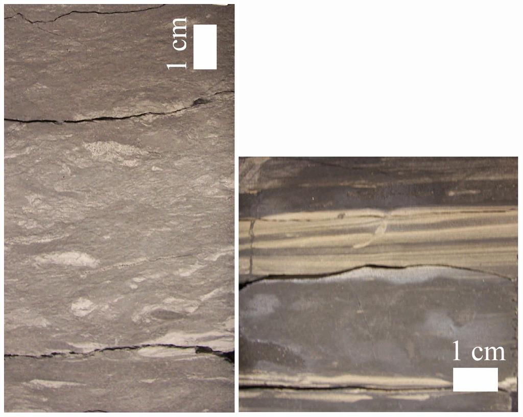 Figure 3. Facies 1B, Well ; 6-11-44-6W4. Left, (601.7m), shale intermixed with very fine sandstone. Right, (605.