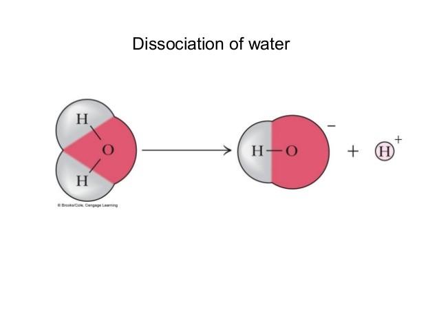 2-2 Properties of Water Acids, Bases, and ph Look at the top figure. Water molecules can dissociate. What does this mean?