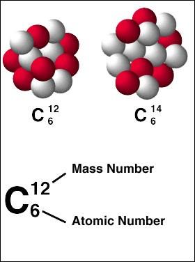 2-1 The Nature of Matter Elements and Isotopes How are isotopes identified (what measurable characteristic is different)? What are the isotopes of carbon?