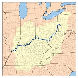 Ohio River The Ohio River is the principal tributary of the Mississippi River (measured by volume &
