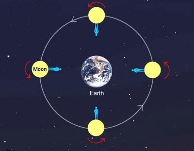 Earth-Moon Relations The Moon rotates on its own axis very slowly 27.3 Earth days for one Lunar day!
