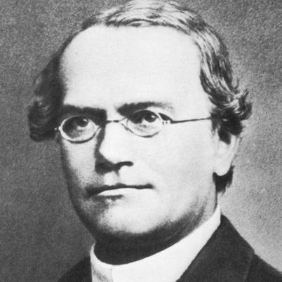 + Who was Gregor Mendel? n Johann Mendel was born in 1822 in an area of Austria that is now part of the Czech Republic. n In 1843, he became a monk and took the name Gregor.