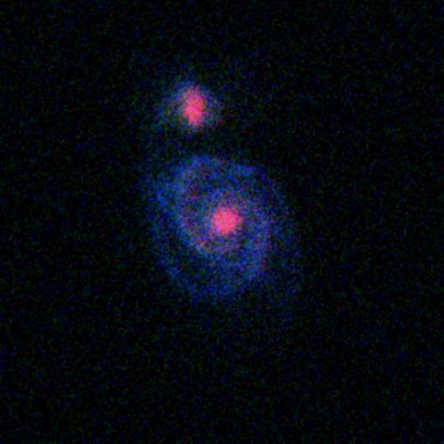 M* Spiral Galaxy at z = 2 (5h)