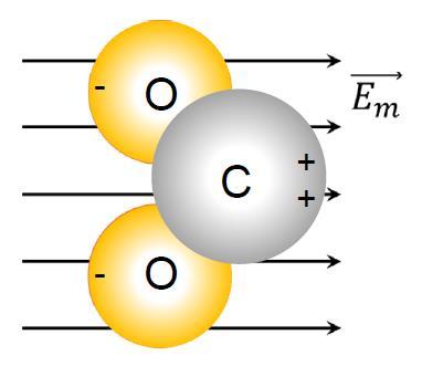 (Fig.2.1-1) and it is a non-polar molecule. There is no lone electron pair in the central carbon atom. Fig.2.1-1 Schematic sketch of CO 2 molecule Fig.