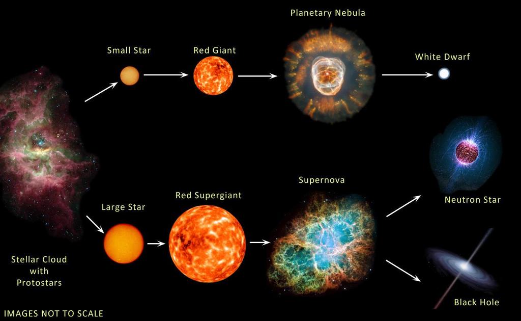 Stellar: - massive star collapse - up to 20 times mass of sun (recent developments) How are they